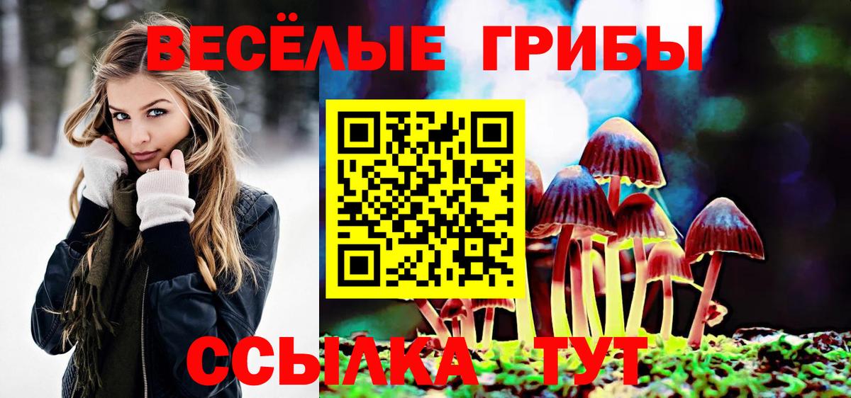 Псилоцибиновые грибы прущие грибы Арзамас