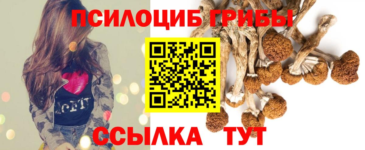 Арзамас  Псилоцибиновые грибы GOLDEN TEACHER  Вход с VPN 